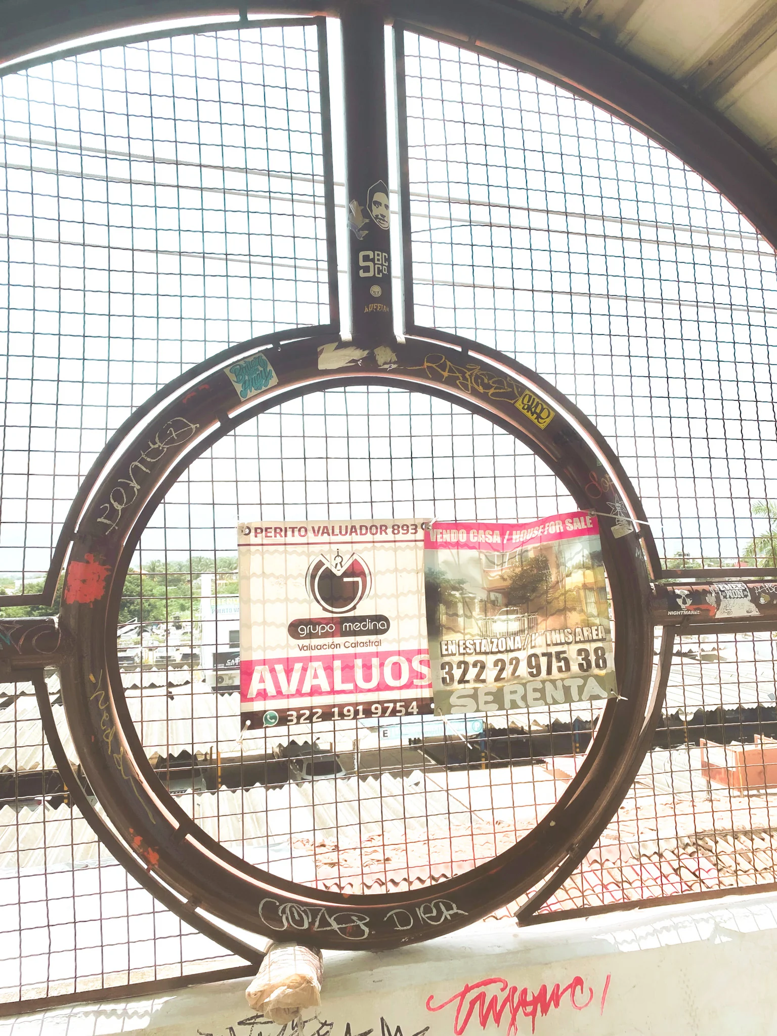 Portrait Photography